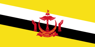 image of Brunei flag