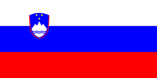 image of Slovenia flag