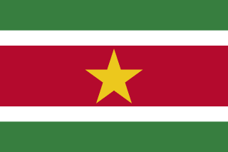 image of Suriname flag