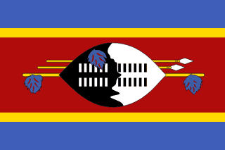 image of Eswatini flag