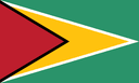 flag of Guyana